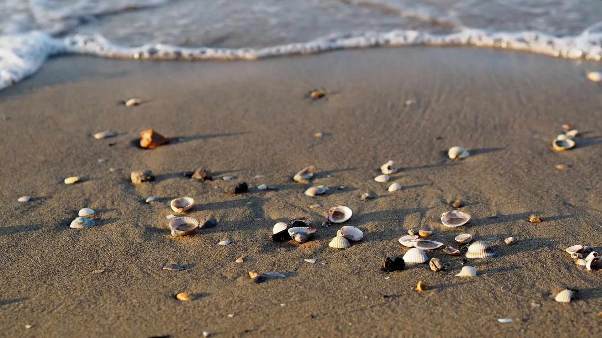 Stunning Seaview In Bibione - Beahost Rentals